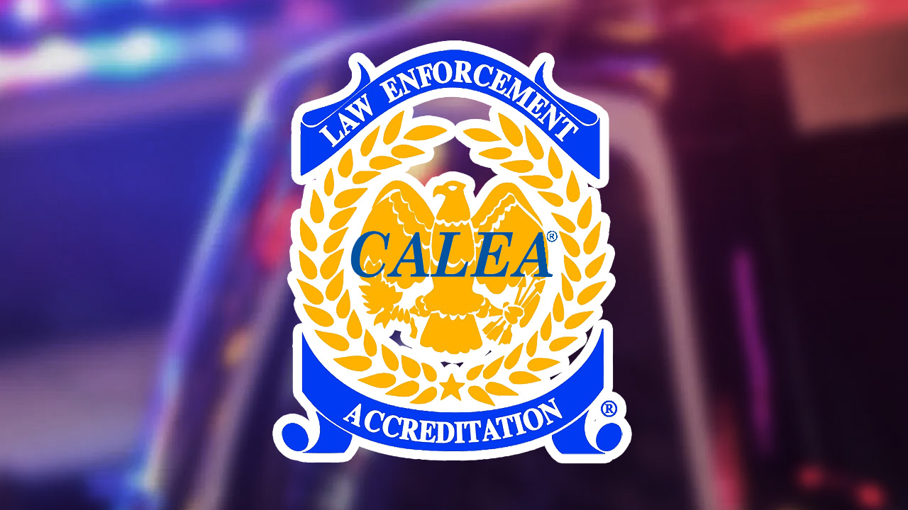 bcso calea featured image